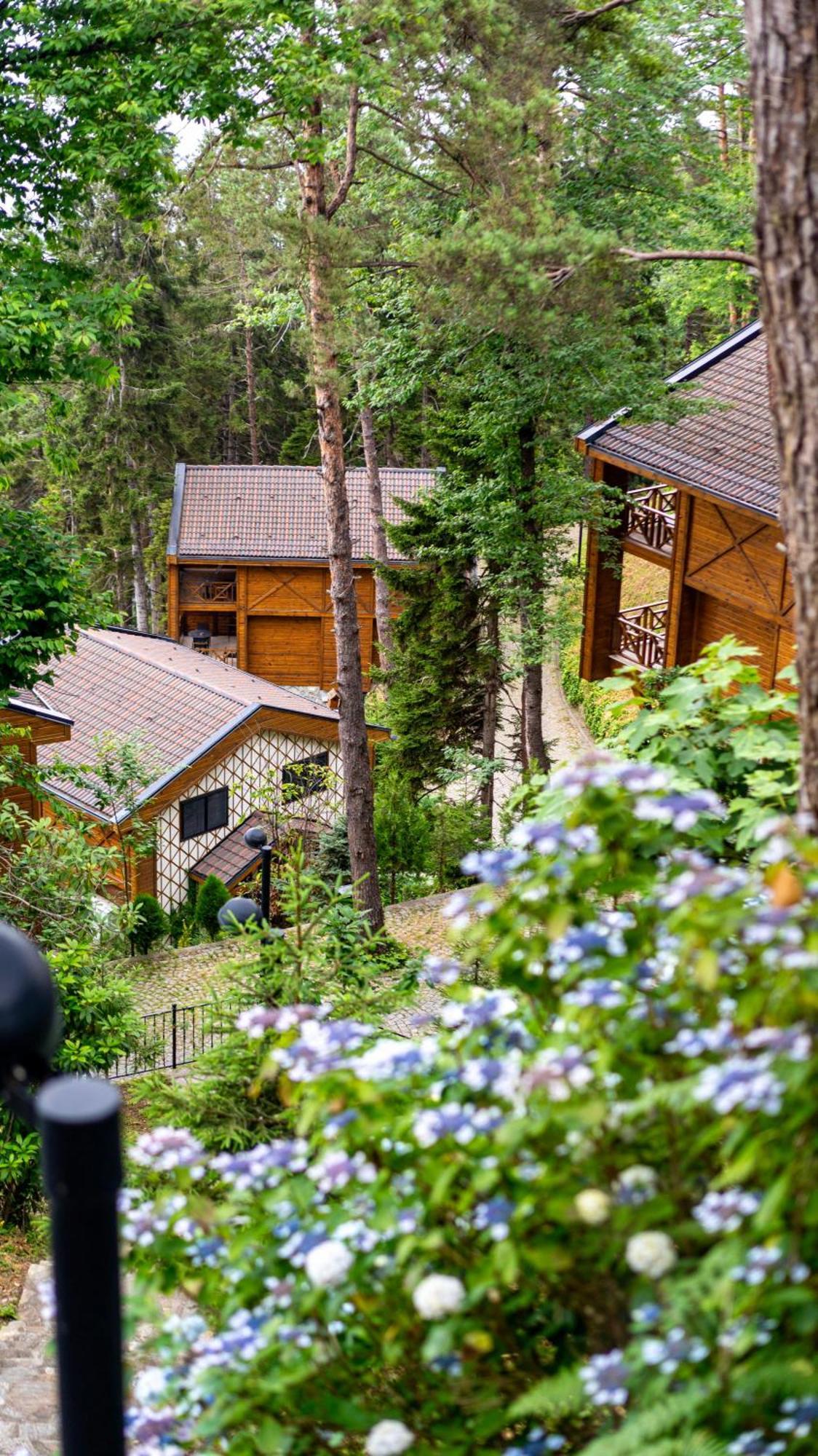 Hancioglu Orman Evleri & Hotel Trabzon Buitenkant foto