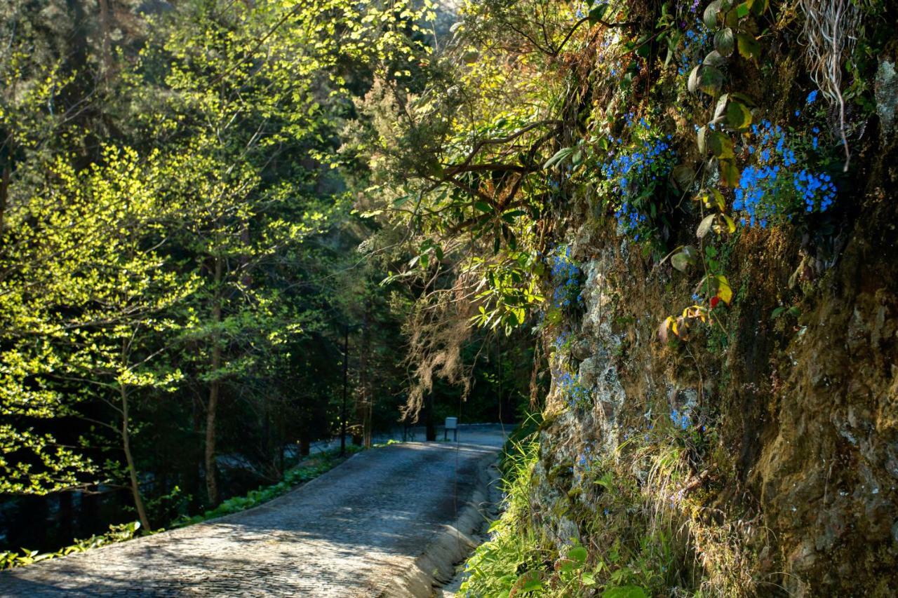 Hancioglu Orman Evleri & Hotel Trabzon Buitenkant foto