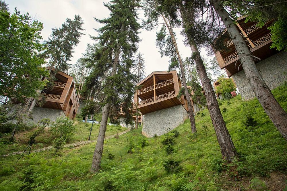 Hancioglu Orman Evleri & Hotel Trabzon Buitenkant foto