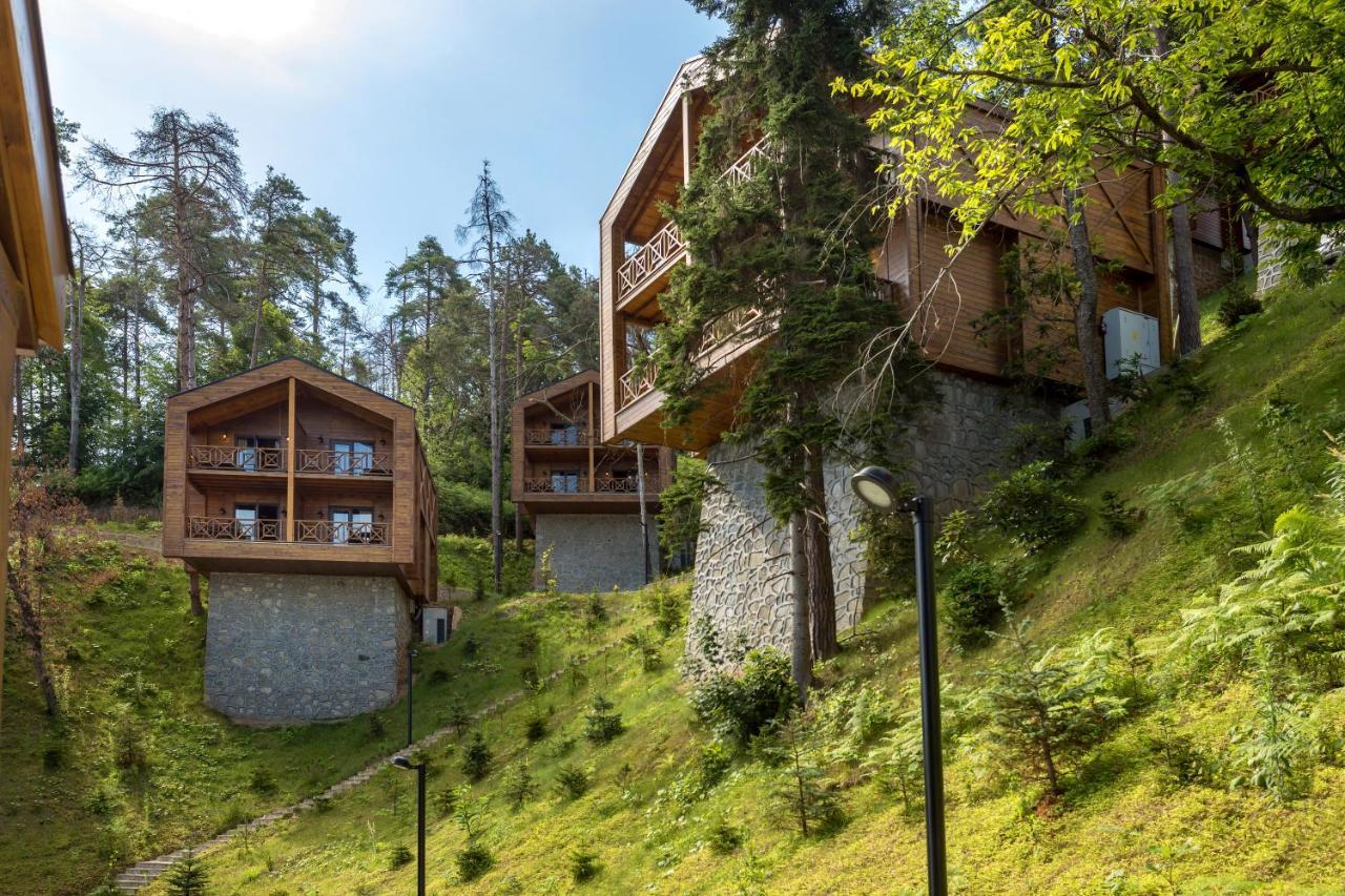 Hancioglu Orman Evleri & Hotel Trabzon Buitenkant foto
